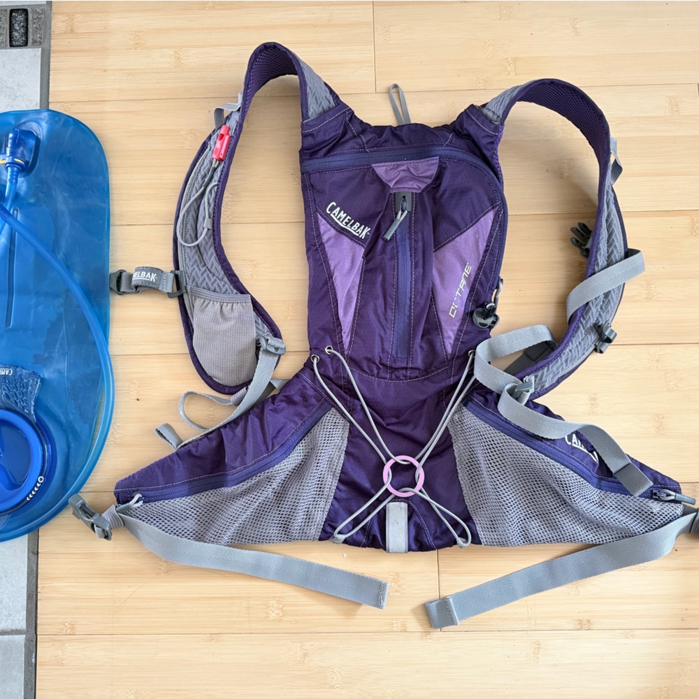 CamelBak Violet Pack with Gray Mesh
